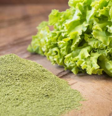 Vitality meals consist of various balanced vegetables and fruits extracts that provide essential nutrients of the day