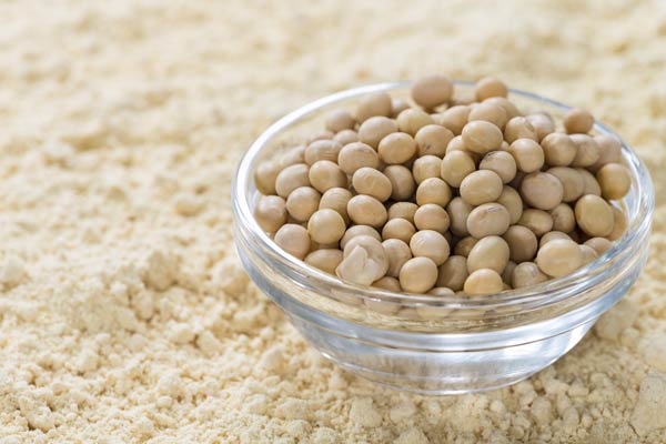 Vitality meals consist of rich nutrients from soy bean that is high in protein