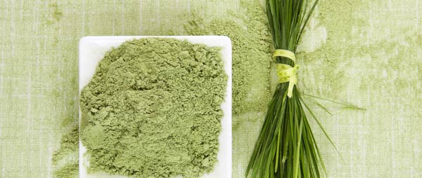 Vitality meals consist of rich nutrients from wheatgrass that is great source of chlorophyll